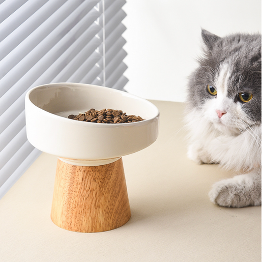 VogueBowl - Elevated Ceramic Cat Bowl