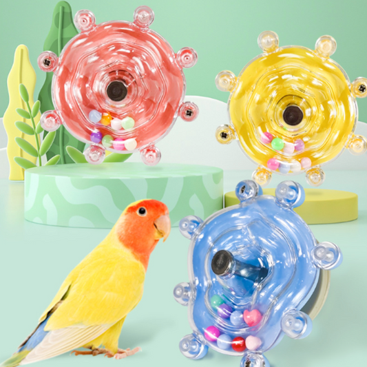 SpinMaster - Parrot Spinning Saucer Toy