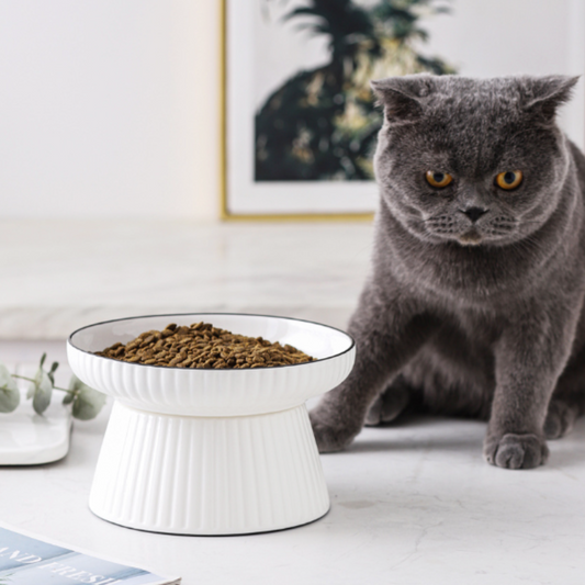 Dine Elevated - Wide Ceramic Pet Bowl