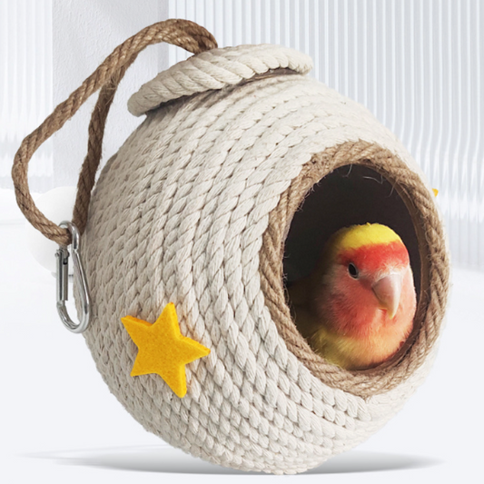 CozyCoconut - Shell Nest