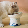 ErgoCat - Blue Elevated Ceramic Bowl