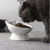 B&W Luxe - Elevated Cat Bowl